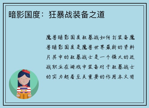 暗影国度：狂暴战装备之道
